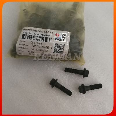China 6CT Hexagon Flange Head Cap Screw 3903464