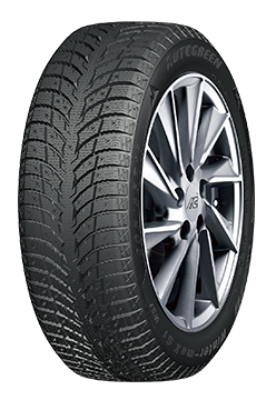 WINTER TYRE / WS1