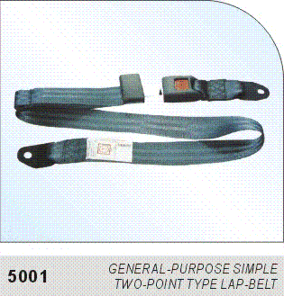 Auto safety belt