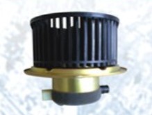 Blower Motor Of Liuzhou Motor