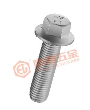 Camshaft Cap Bolts