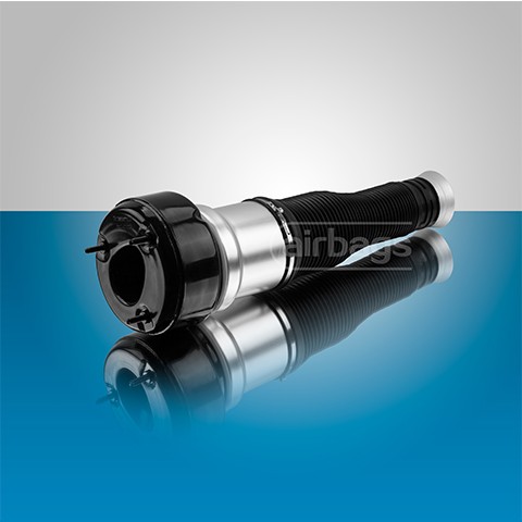 Air Spring Rear L