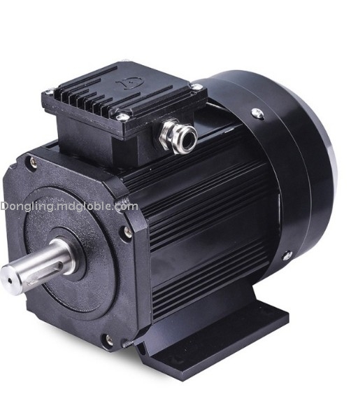 Electric Permanent Magnet Synchronous Motor 