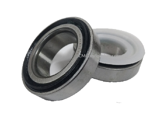 Customized Bearing