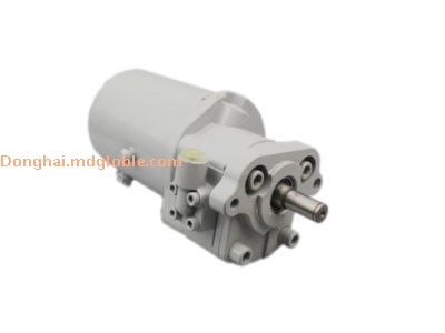 Hydraulic Pump 1666726M91