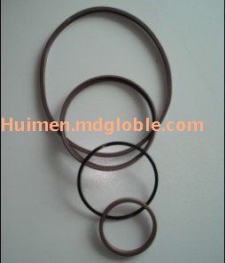 Oil seals for heavy vehicles Glyd ring