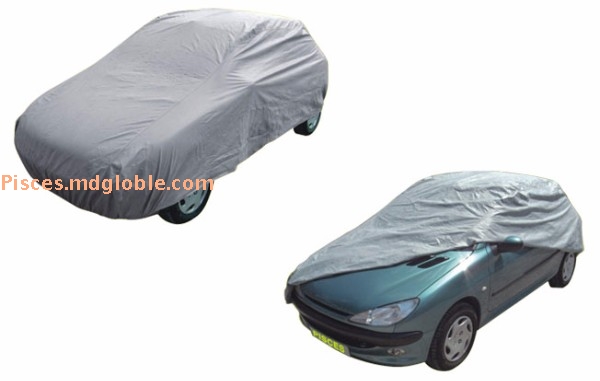 Jeep Cover