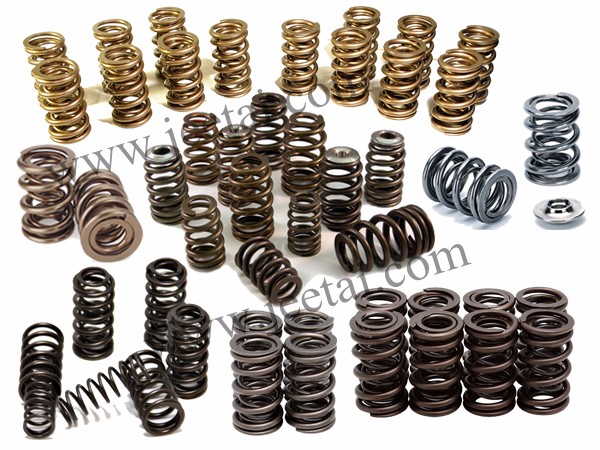 Valve spring