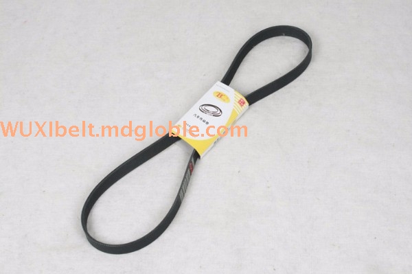 Poly V Belt