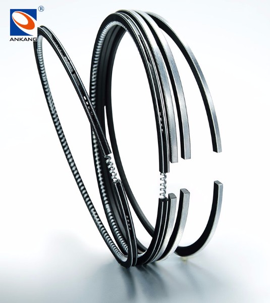 Piston Ring 01-2