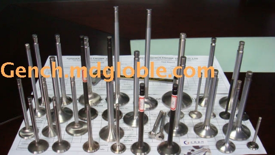 Engine Valves