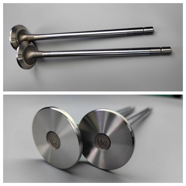 exhaust valve-DS9/SDC9