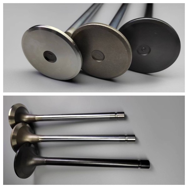intake valve-DS9/SDC9