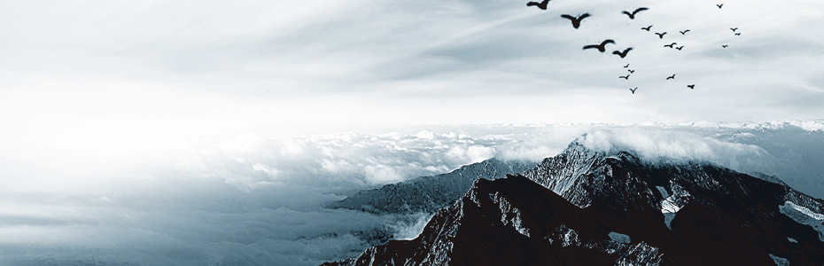 NINGBO XIANGHEYUAN AUTOPARTS CO., LTD