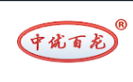 Hebei Bailong auto parts manufacturing Co., LTD.