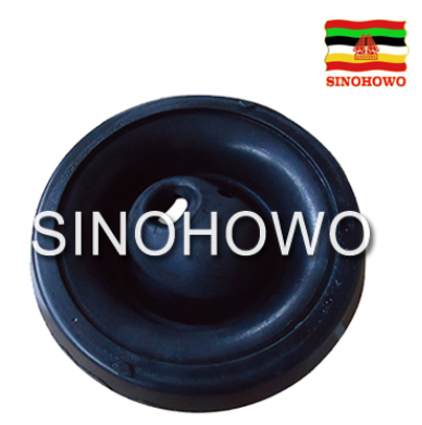 SHACMAN TRUCK PARTS，Cabin Parts ，Dust Cover 81.32616.0007