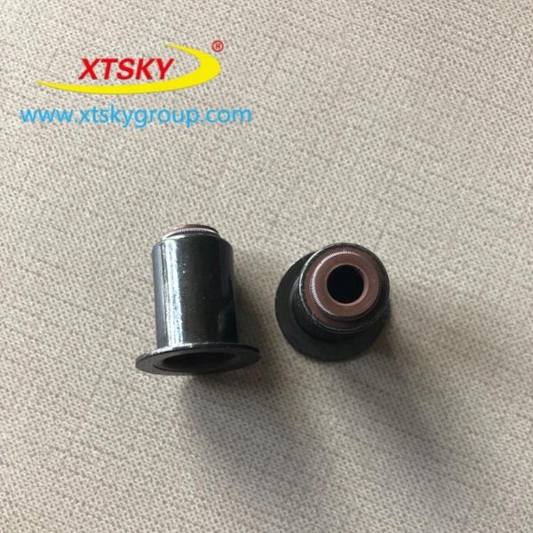 XTSKY High performance FKM/FPM Valve Stem Seal 12016913