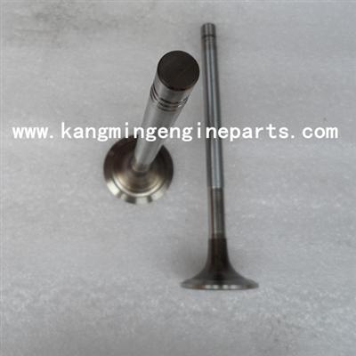 For Cummins 3803512 Valve, Intake Chongqing Nta855 Diesel Engine