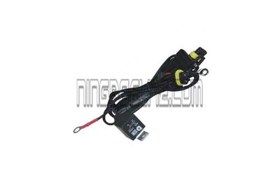 H/L Flex Wire Harness