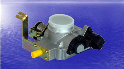 Throttle Valve Delphi