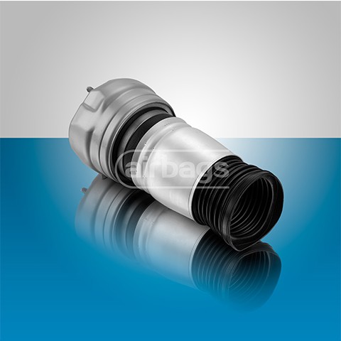 Air Spring Front L