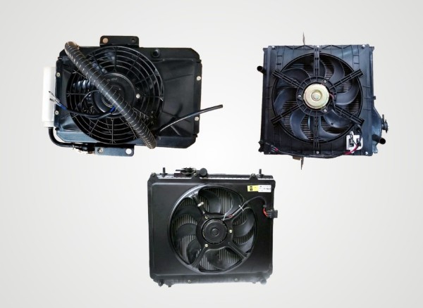 Electronic Fan Assemly 