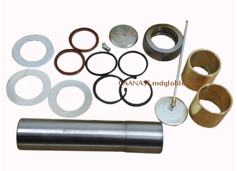 Caanass for truck kingpin kit for Mercedes 3913300019