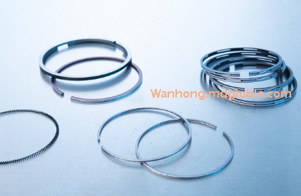 Piston Ring
