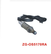 Oxygen Sensor