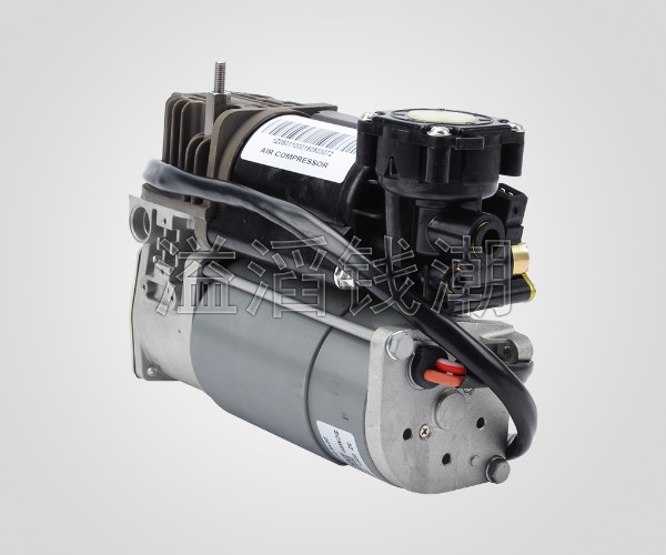 Electronic gas pump 1Z 0501