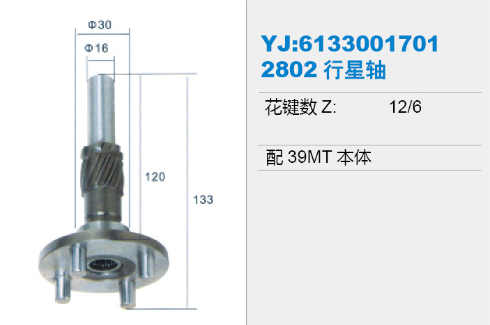 Planetary shaft 6133001701 2802