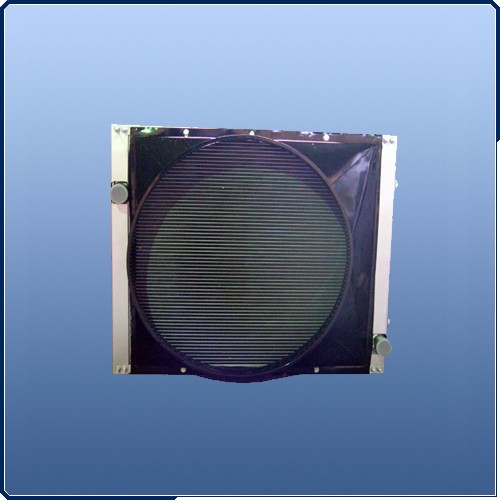 Radiator 1688013110003