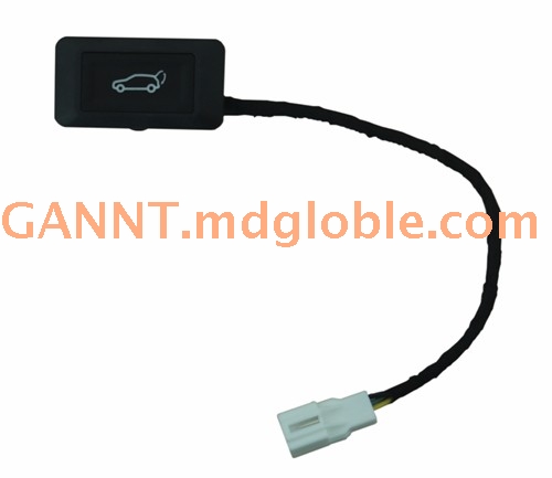 Tailgate button switch