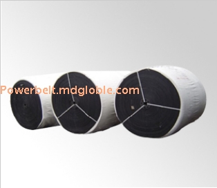 Polyester conveyor belt