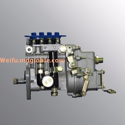 Fuel Injection System Inline pump IW pump