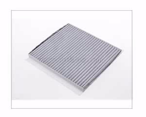 Cabin Air Filter 10-11 Ford Focus - Carbon