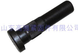 Wheel Bolt