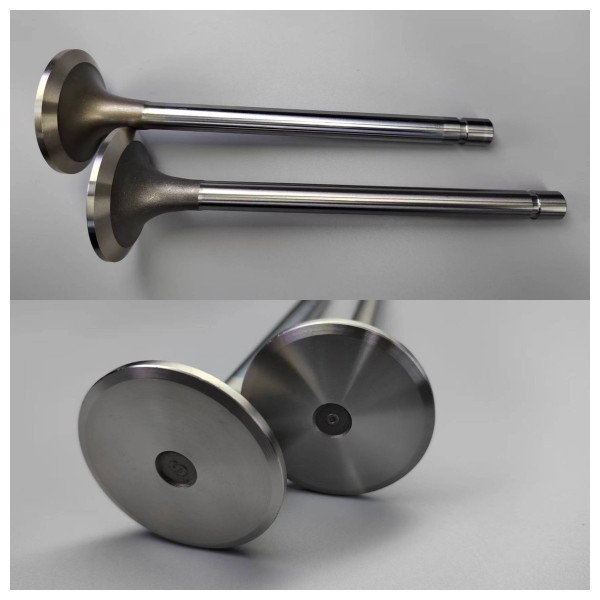 intake valve-DS11/DN11