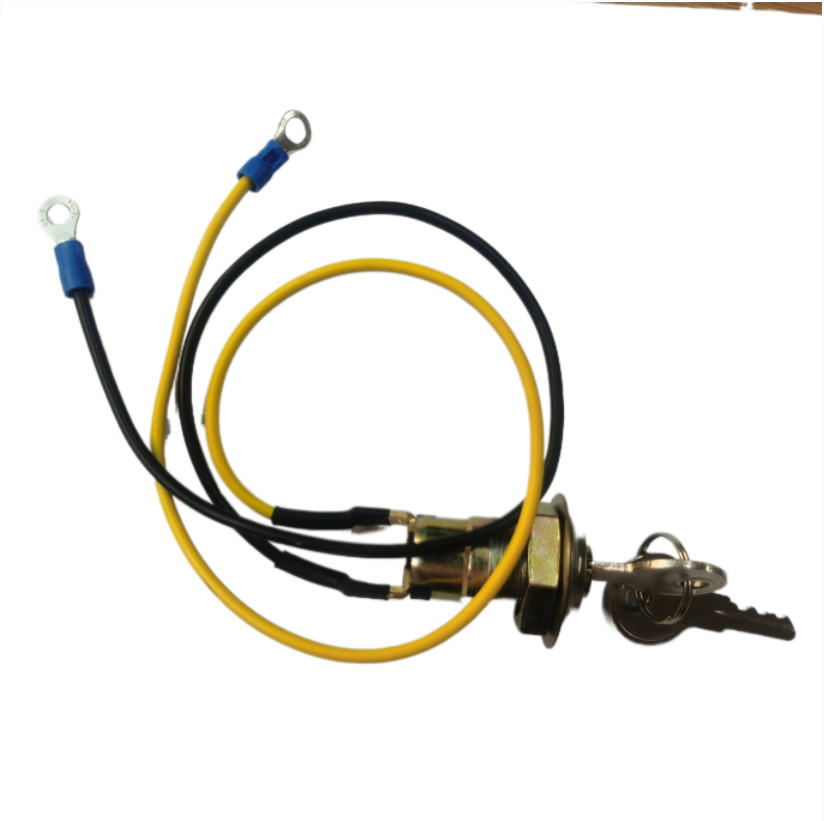 Ignition switch switch lock