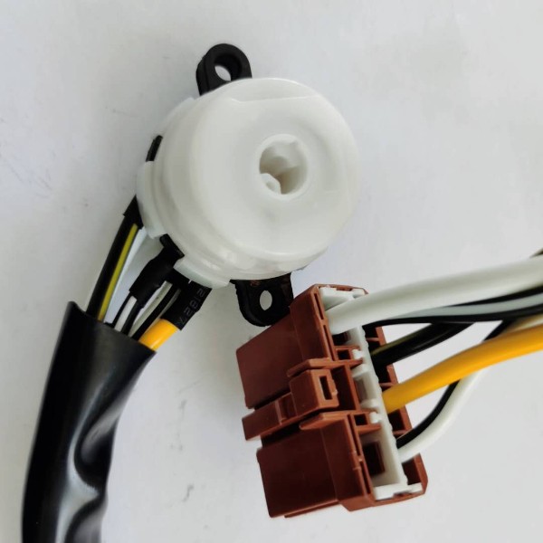 Ignition switch, wiring harness switch