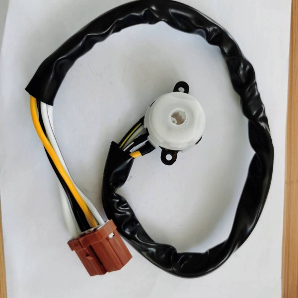 Ignition switch, wiring harness switch