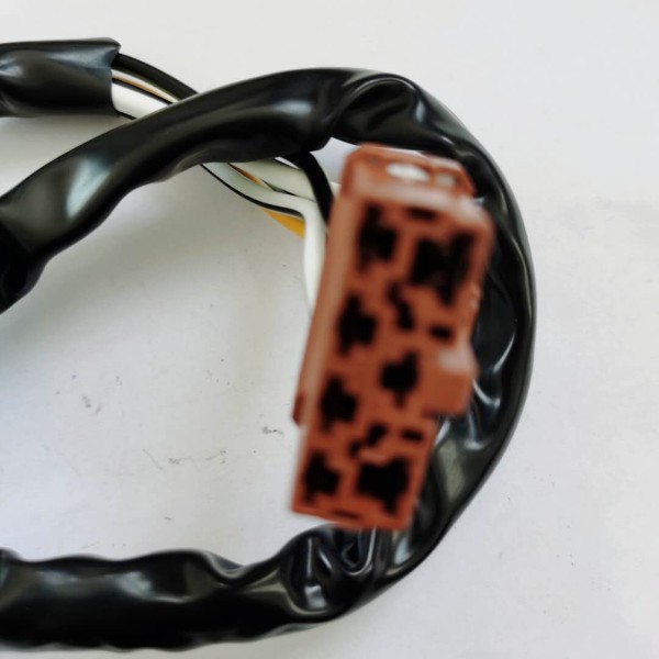 Ignition switch, wiring harness switch