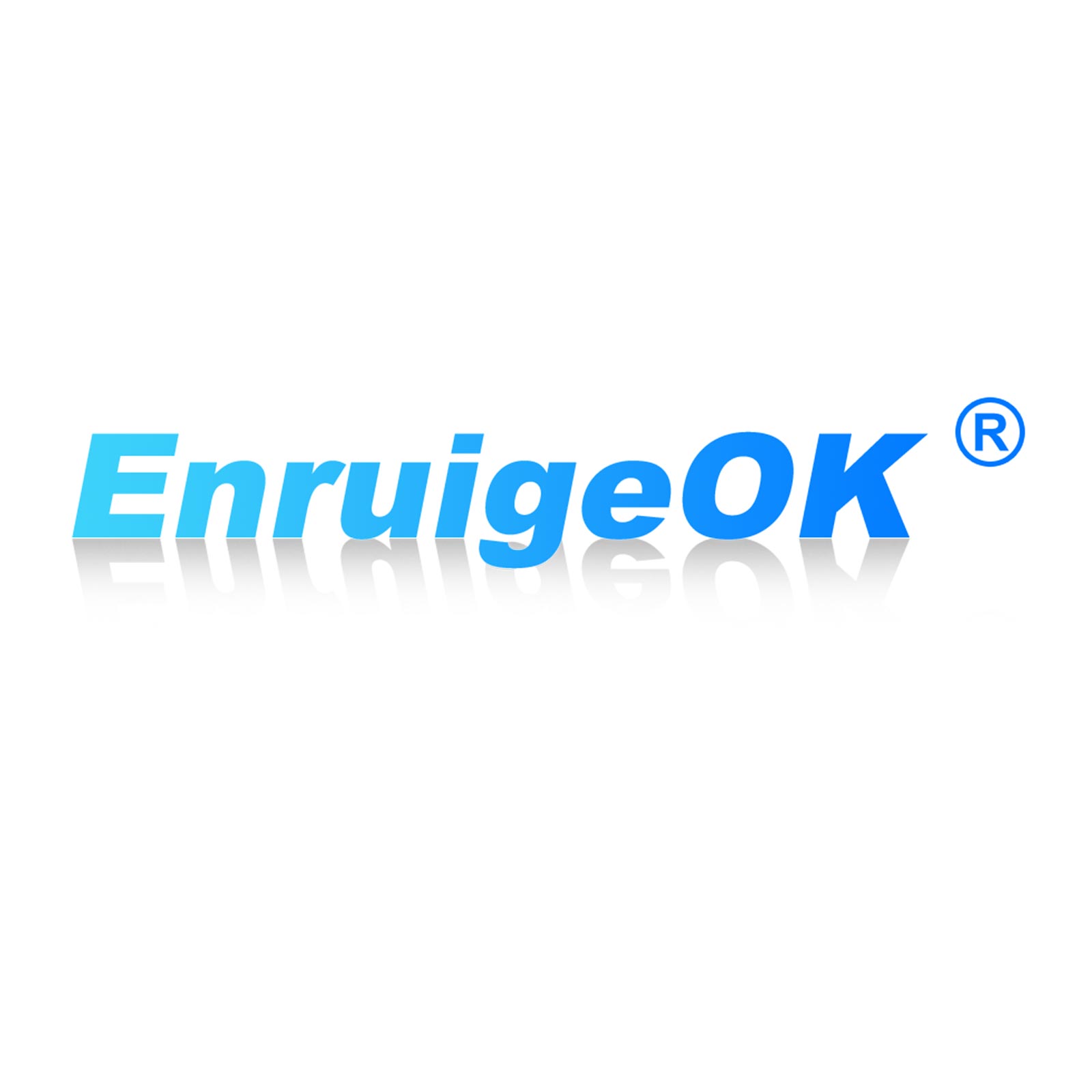 SHENZHEN ENRUIGE TECHNOLOGY CO LTD