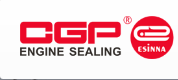 CGP (Wuhu) Sealing Co., Ltd.