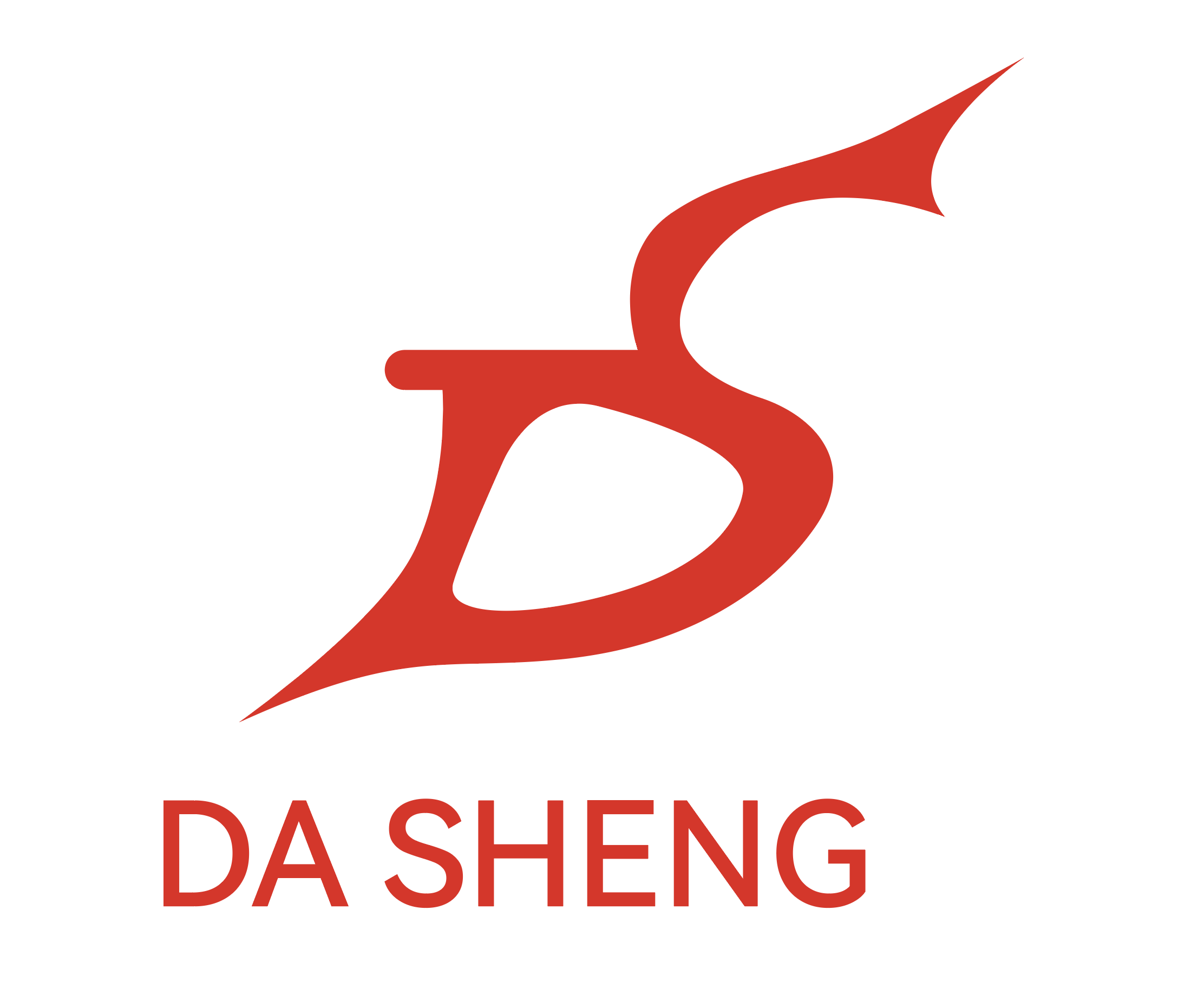 RUIAN DASHENG AUTO PARTS CO.,LTD