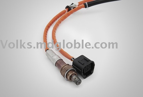 Wide-field oxygen sensor