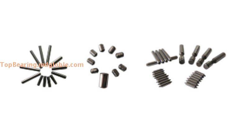 Needle Rollers and Cylindrical Rollers