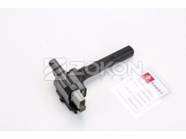 Ignition Coil ZR2042