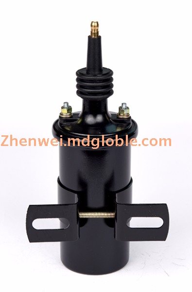 Oil-dipped Ignition Coil ZW704 8223