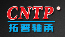 Changzhou Top-Bearing Co., Ltd.